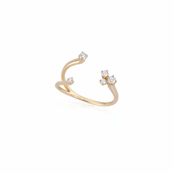 Anello Burato Double Costellazione in Oro Giallo